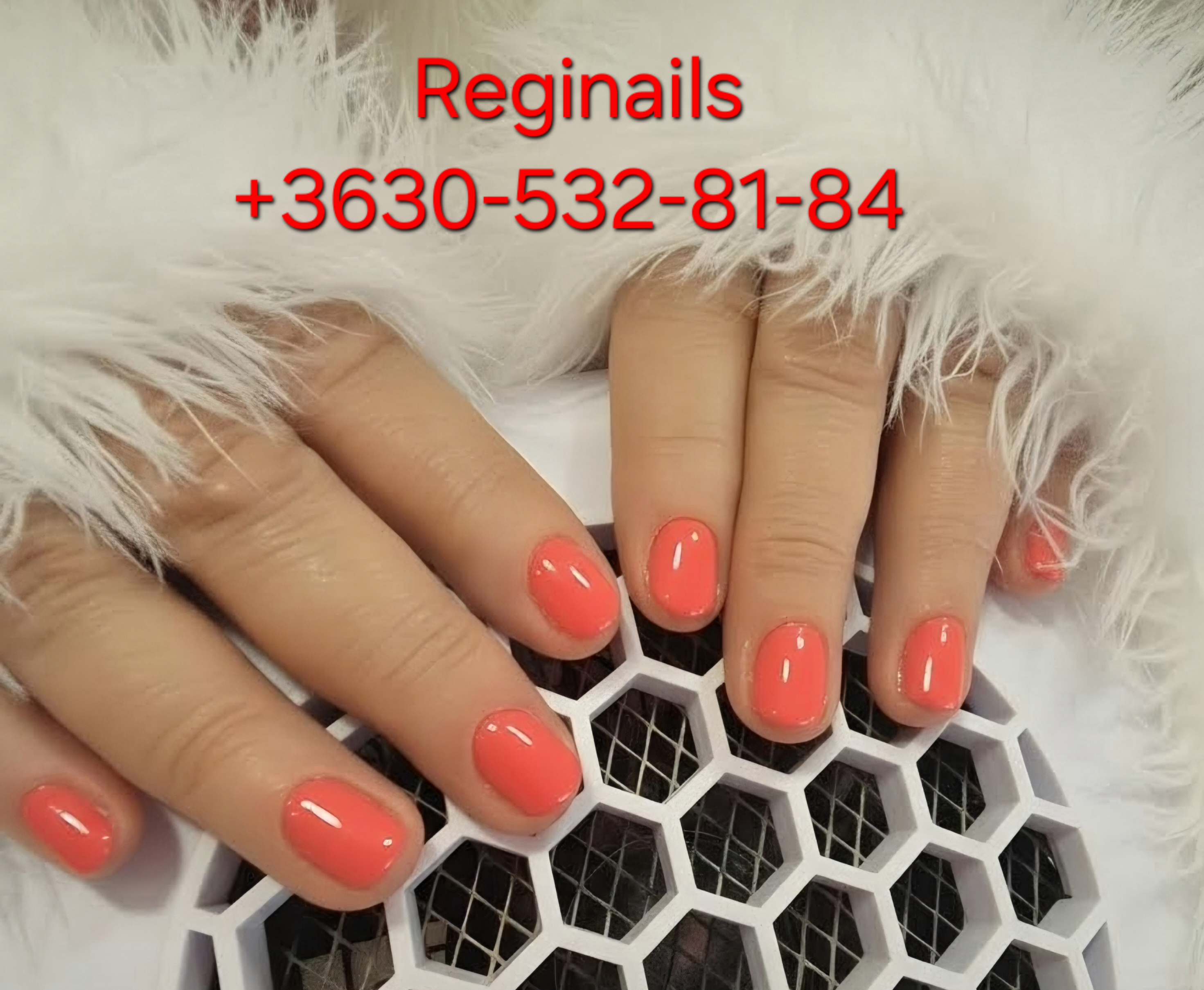 Reginails munka
