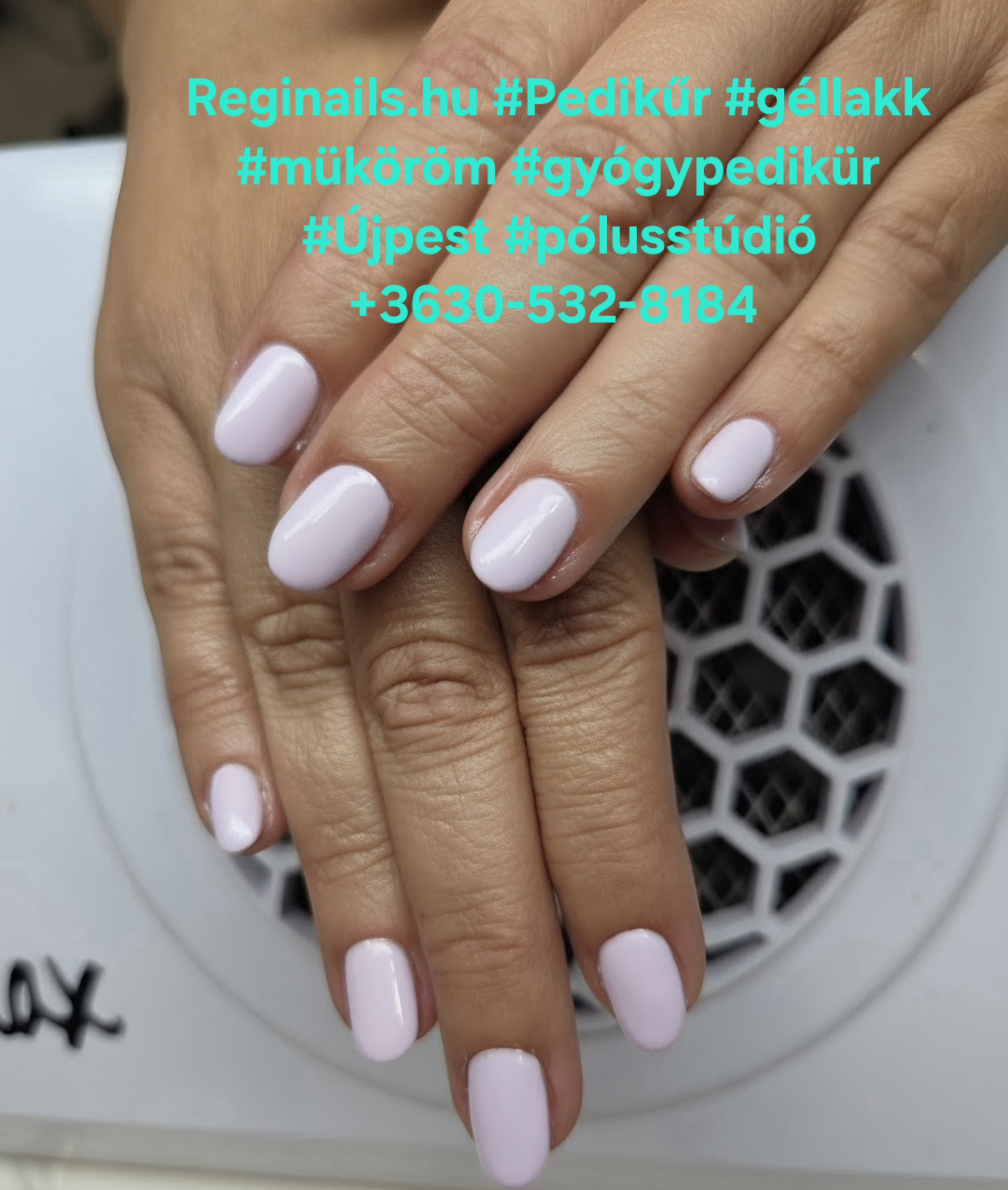 Reginails munka