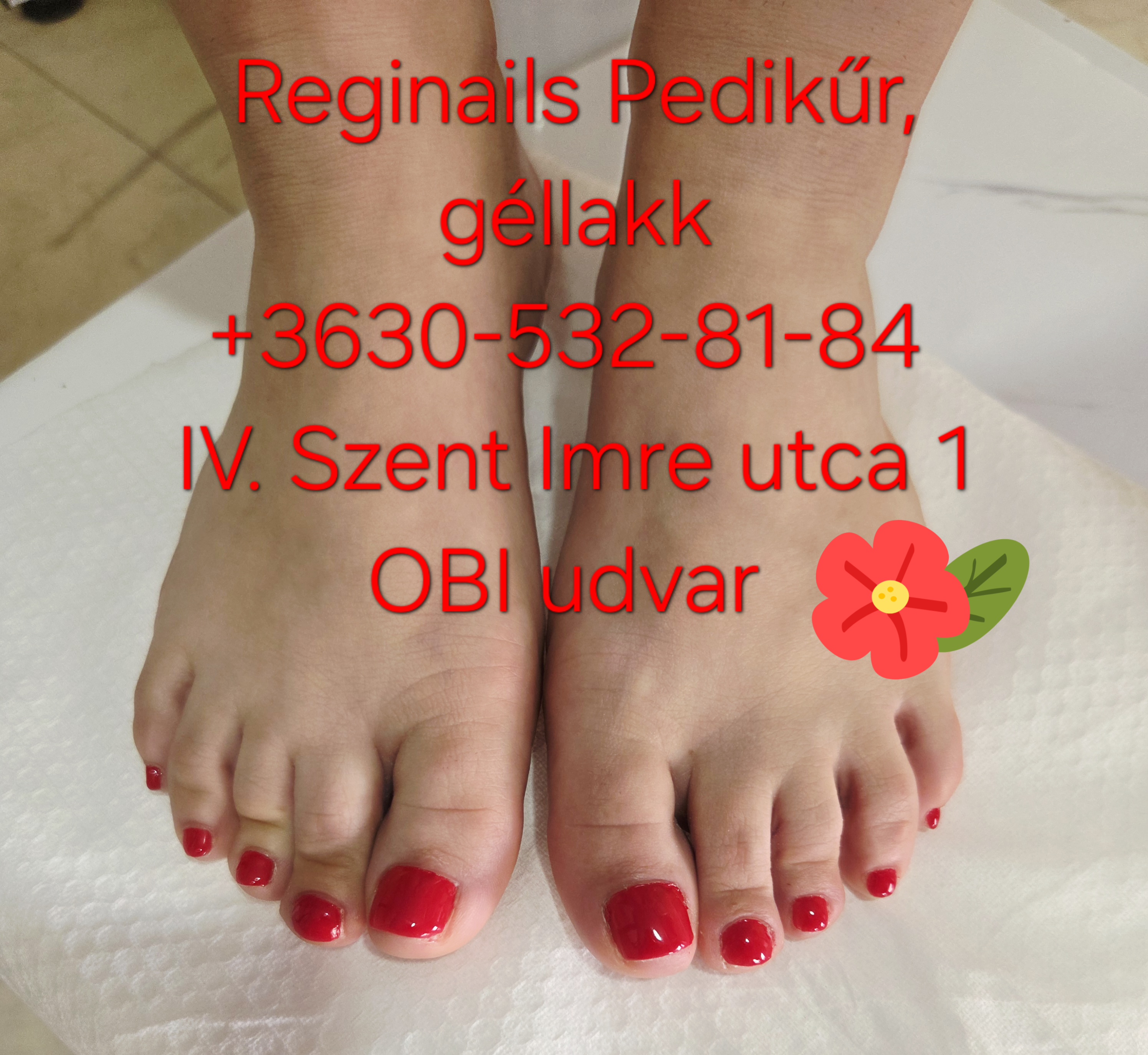 Reginails munka